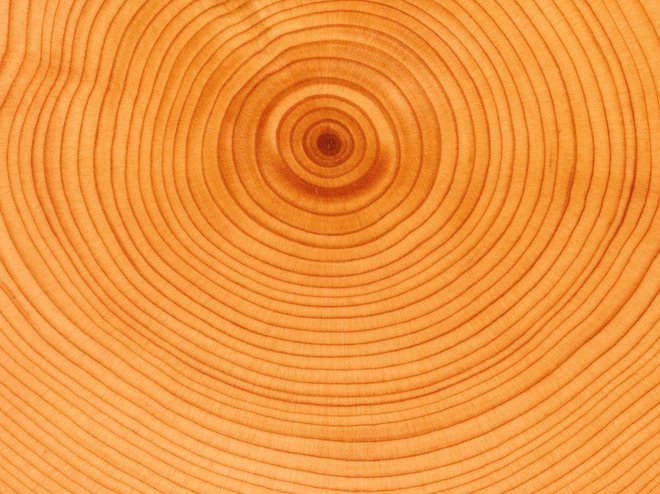 Timber.jpg